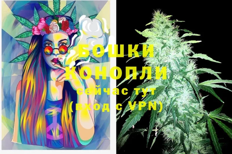 Бошки марихуана OG Kush  Дивногорск 